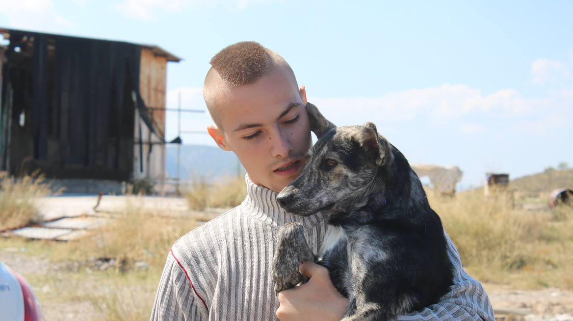  «Greek Animal Rescue»: Ένα συγκλονιστικό ντοκιμαντέρ για τα αδέσποτα σκυλιά της Αθήνας